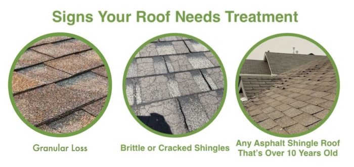 Signs your roof needs treatment